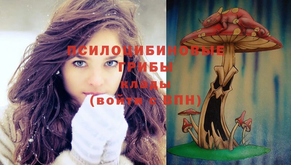 гашиш Новодвинск