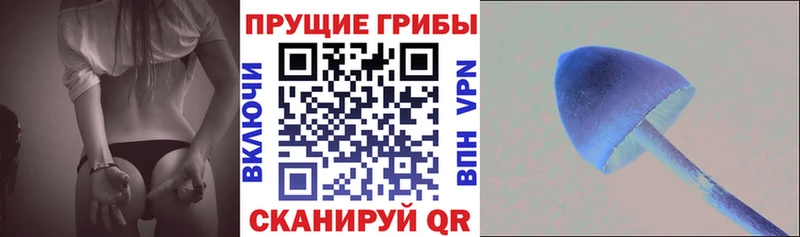 blacksprut ТОР  Биробиджан  Псилоцибиновые грибы прущие грибы  где купить наркоту 